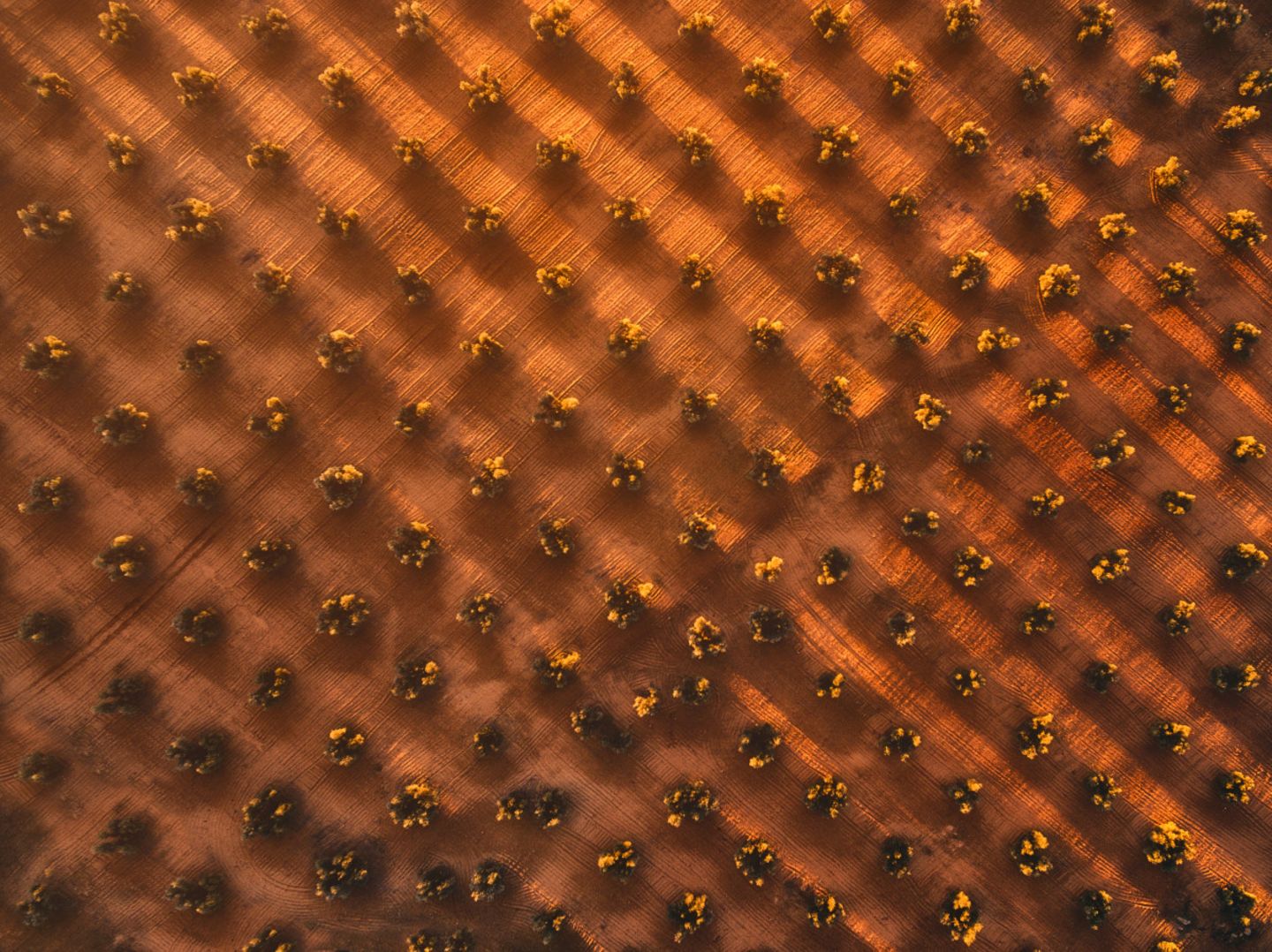 Javier del Cerro/SkyPixel