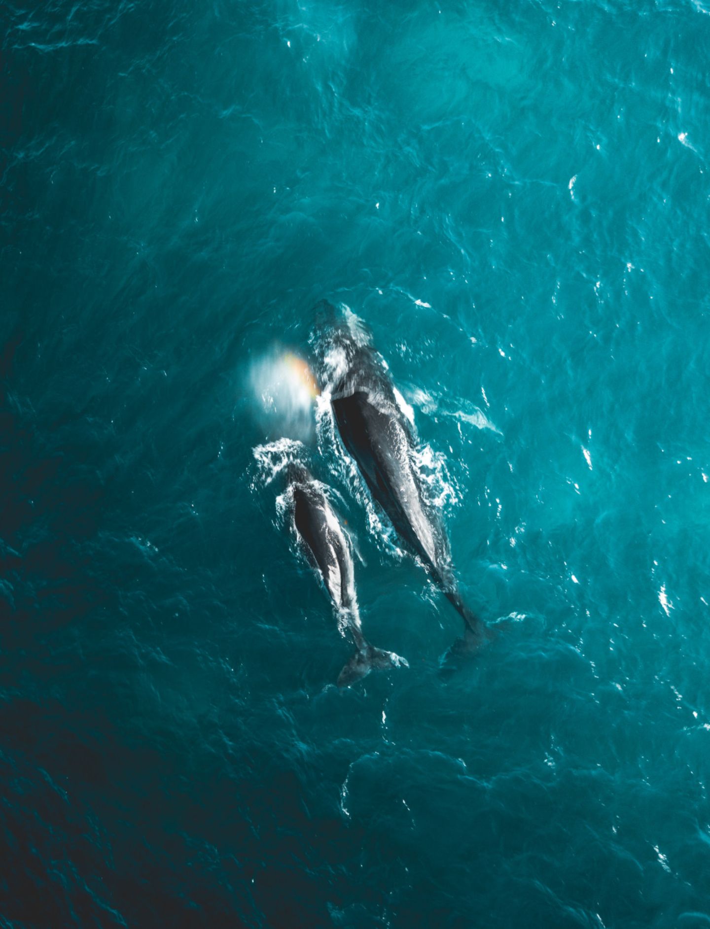 Yantastic/SkyPixel