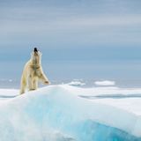 Florian Ledoux/SkyPixel