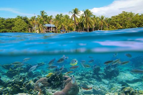 Bocas del Toro, Panama