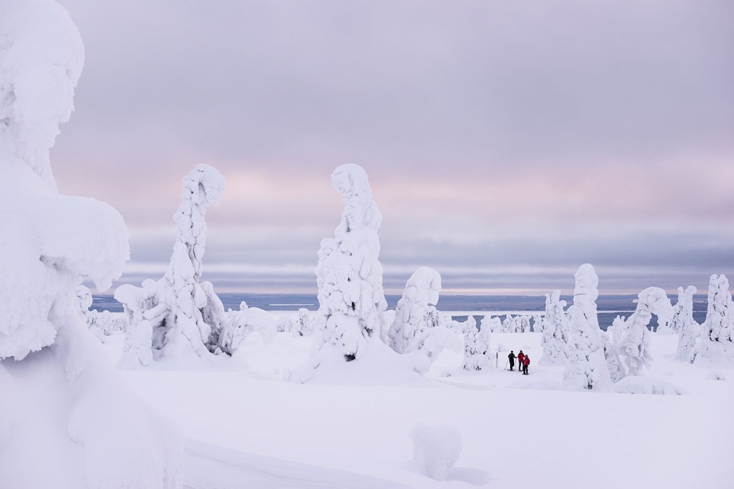 Riisitunturi Nationalpark, Finnland