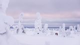 Riisitunturi Nationalpark, Finnland