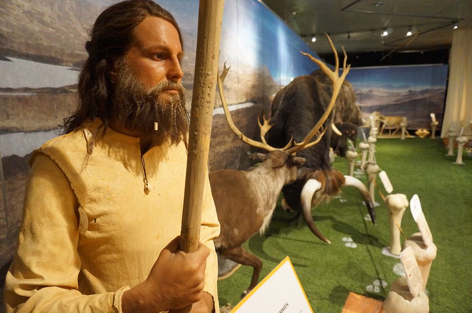 Eiszeitsafari im Neanderthalmuseum Eiszeitsafari im Neanderthalmuseum