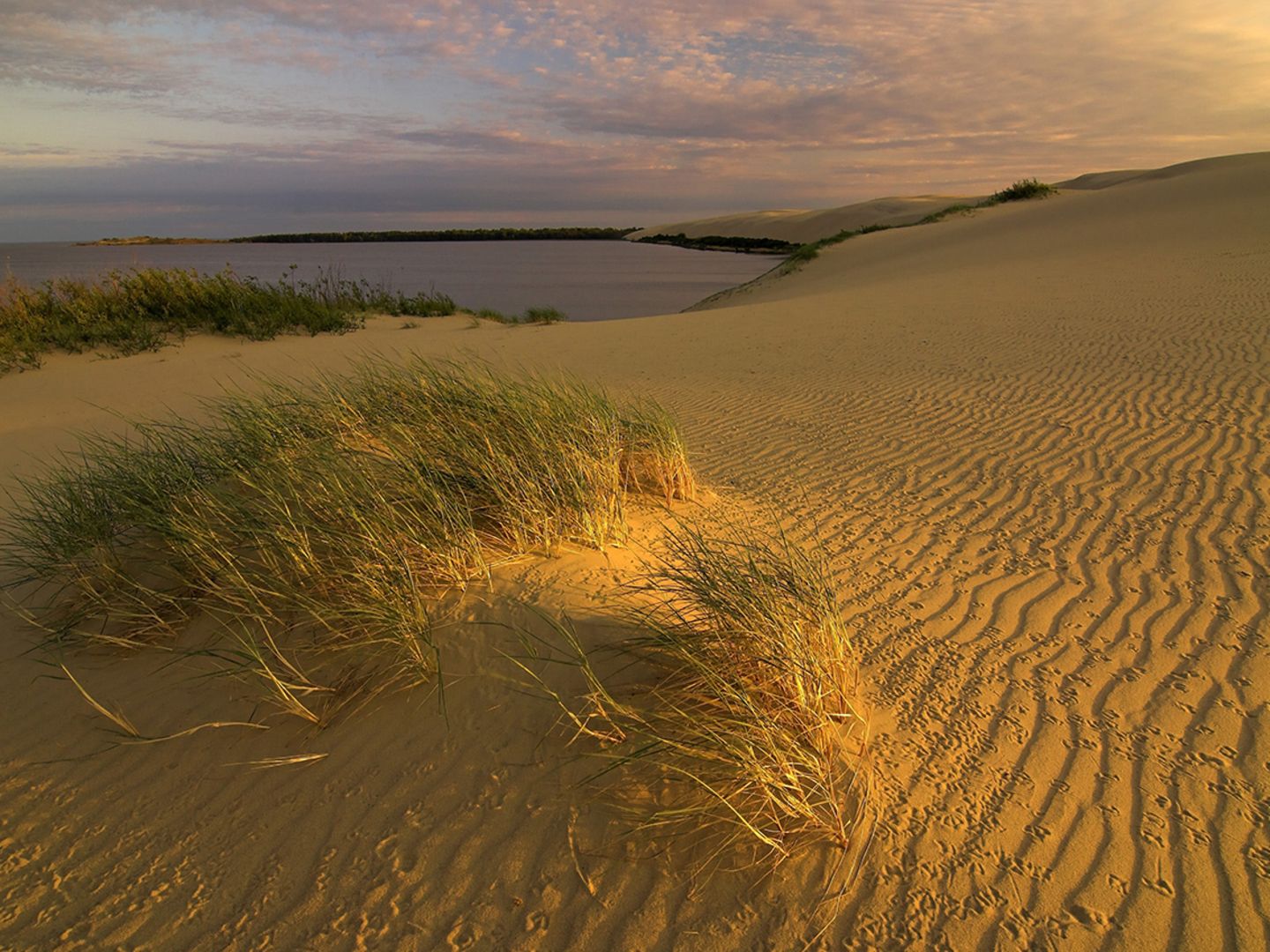 Le 147 dans le sable.  Kurische-nehrung-m-02876294-jpg--74477-