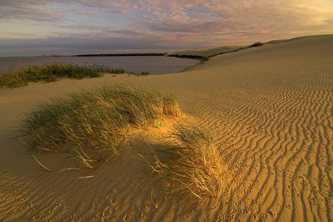 Litauen, Nida, 'Große Düne', Nationalpark Kurische Nehrung