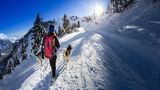Urlaub mit Hund in Österreich
