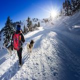 Urlaub mit Hund in Österreich