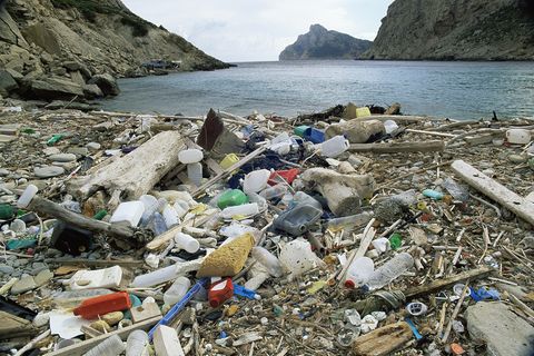 Müll an einem Strand in Mallorca