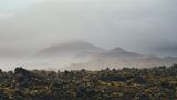 Lavafelder auf Island