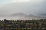 Lavafelder auf Island