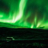 Polarlichter über den Westfjorden