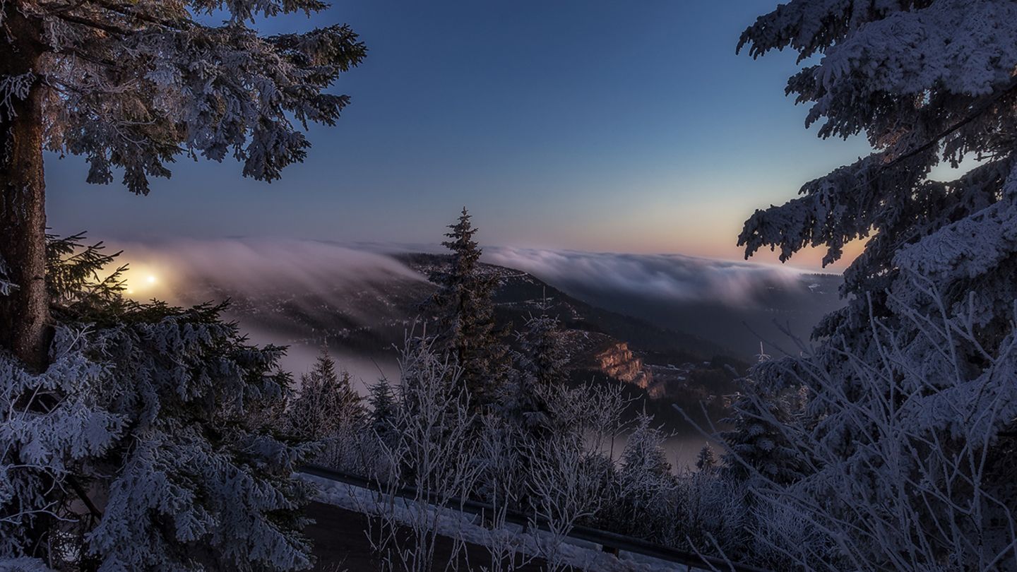 Hornisgrinde, Nordschwarzwald Hornisgrinde, Nordschwarzwald