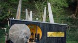 Francis & Arnett – Animated Forest, Süd Snowdonia,  Wales, UK