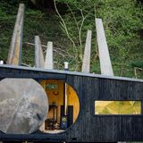 Francis & Arnett – Animated Forest, Süd Snowdonia,  Wales, UK