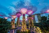 Gardens by the Bay, Singapur