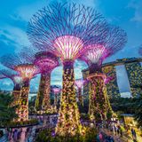 Gardens by the Bay, Singapur
