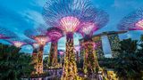 Gardens by the Bay, Singapur
