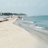 St Joseph s Peninsula State Park, Florida