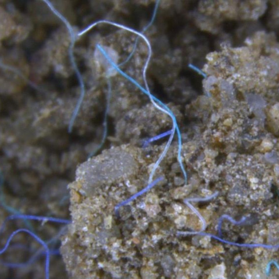 Mikroplastik