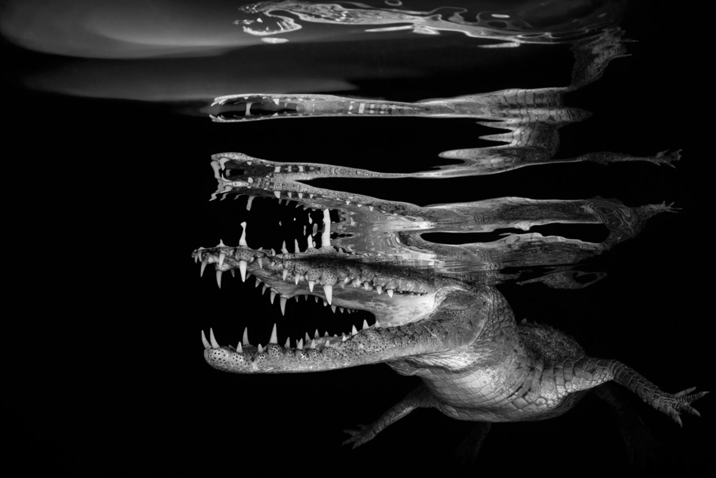 Borut Furlan/UPY 2018