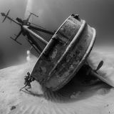 Susannah H. Snowden-Smith/UPY 2018