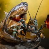 Mika Saareila/UPY 2018