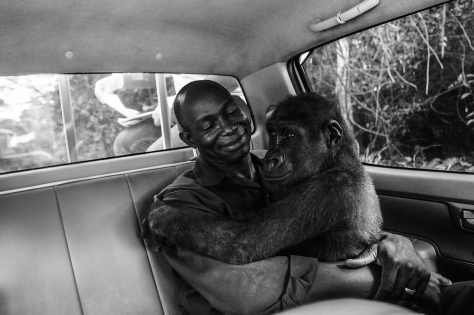 Jo-Anne McArthur/Wildlife Photographer of the Year