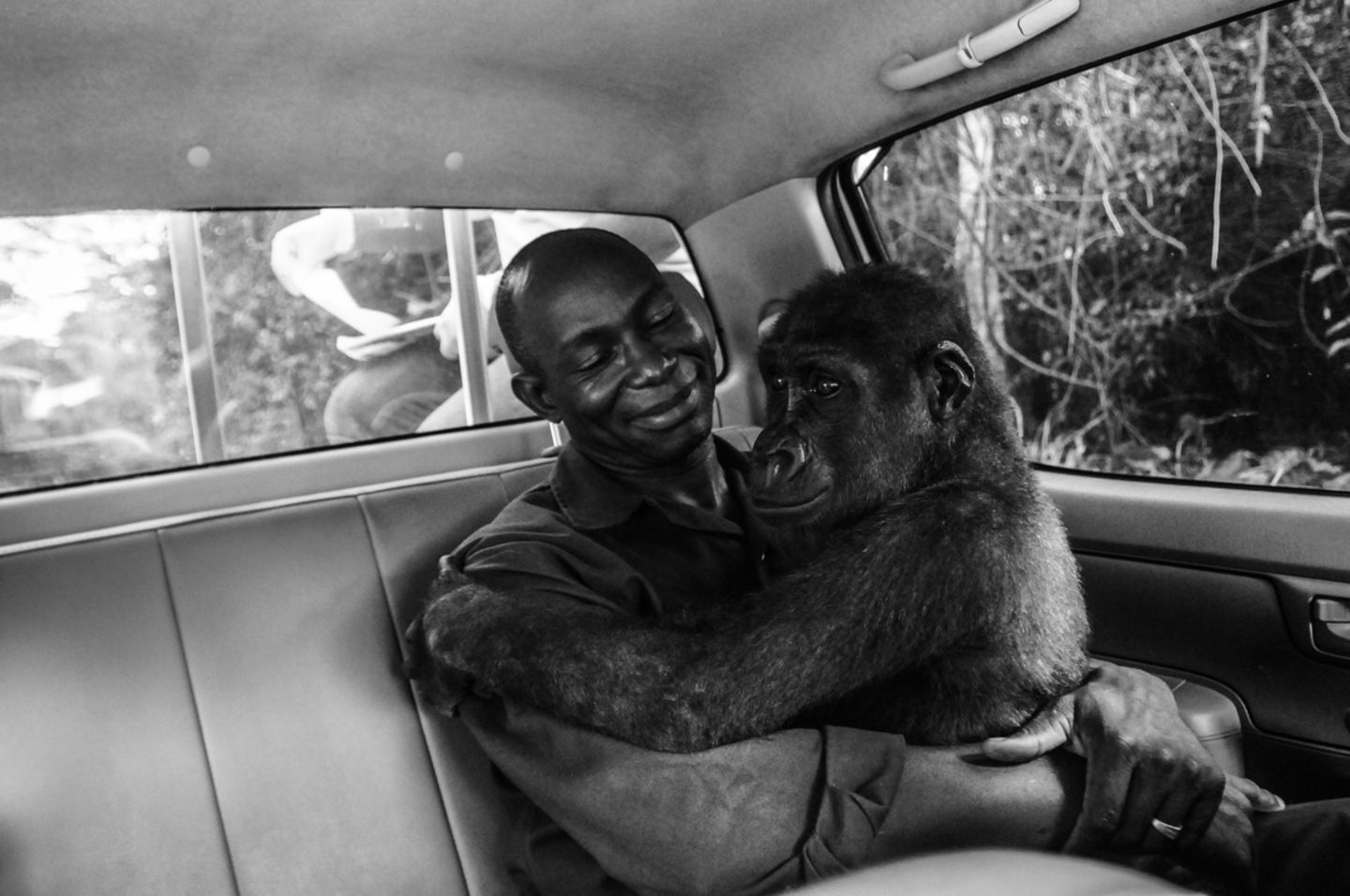 Jo-Anne McArthur/Wildlife Photographer of the Year