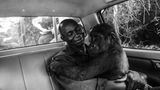Jo-Anne McArthur/Wildlife Photographer of the Year