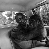 Jo-Anne McArthur/Wildlife Photographer of the Year