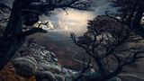 Max Rive