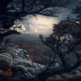Max Rive