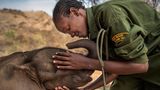 Ami Vitale, for National Geographic