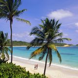 Half Moon Bay, Antigua
