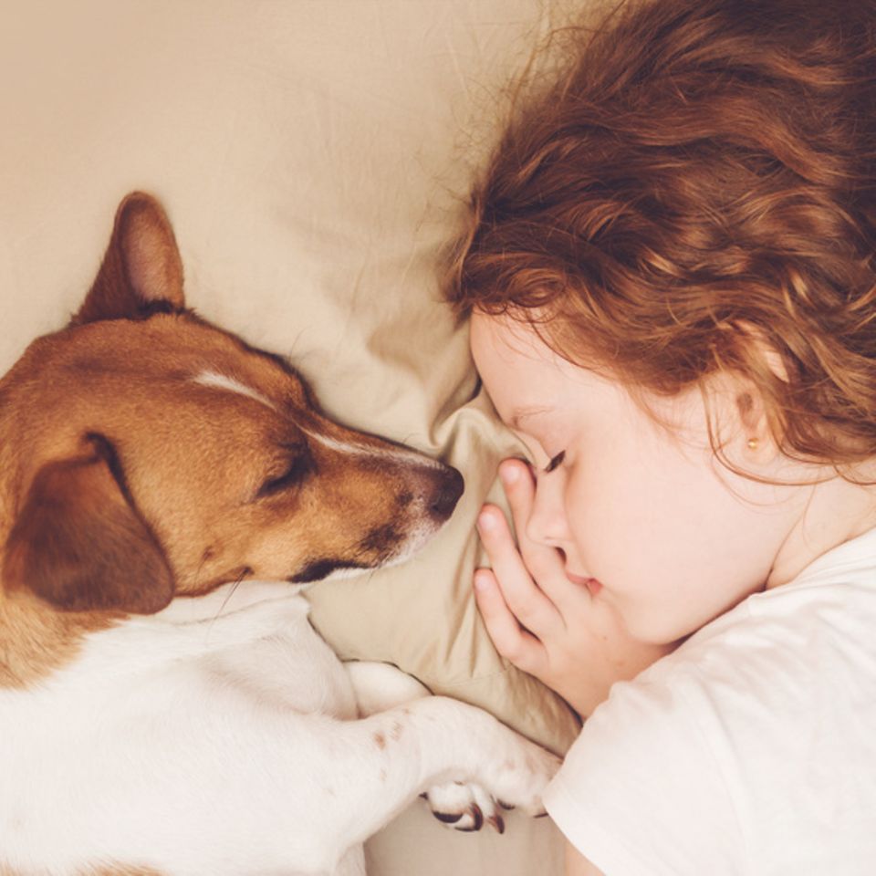 Hund und Mädchen schlafen