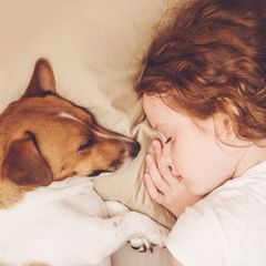 Hund und Mädchen schlafen