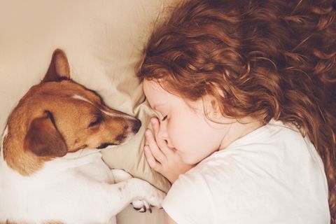 Hund und Mädchen schlafen