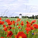 Jugendherberge Strehla