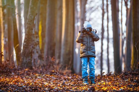 Junge fotografiert im Wald