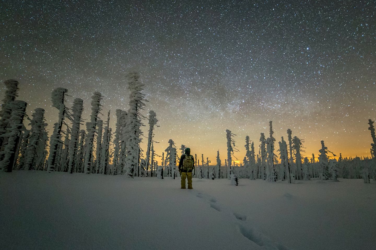 GEO Leserfoto: Die besten Leserfotos: März 2018 - Bild 12 Plöckenstein, Oberösterreich