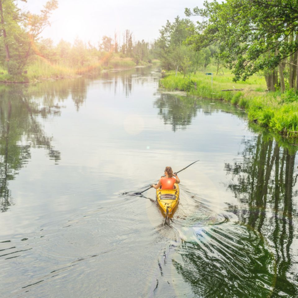 Foto: deyveone/Fotolia, Kanu, Spreewald