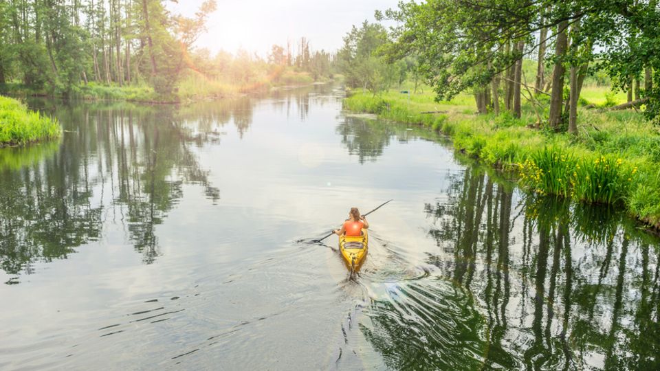 Foto: deyveone/Fotolia, Kanu, Spreewald