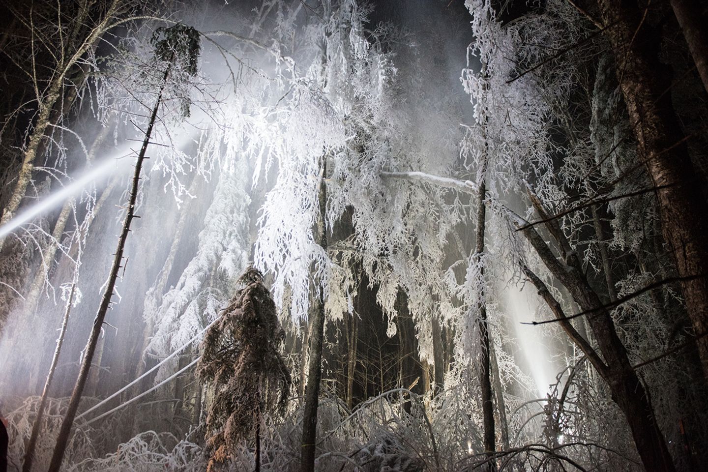 Ice Storm Experiment, Hubbard Brook