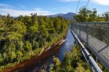 Tahune Forest AirWalk,