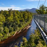 Tahune Forest AirWalk,
