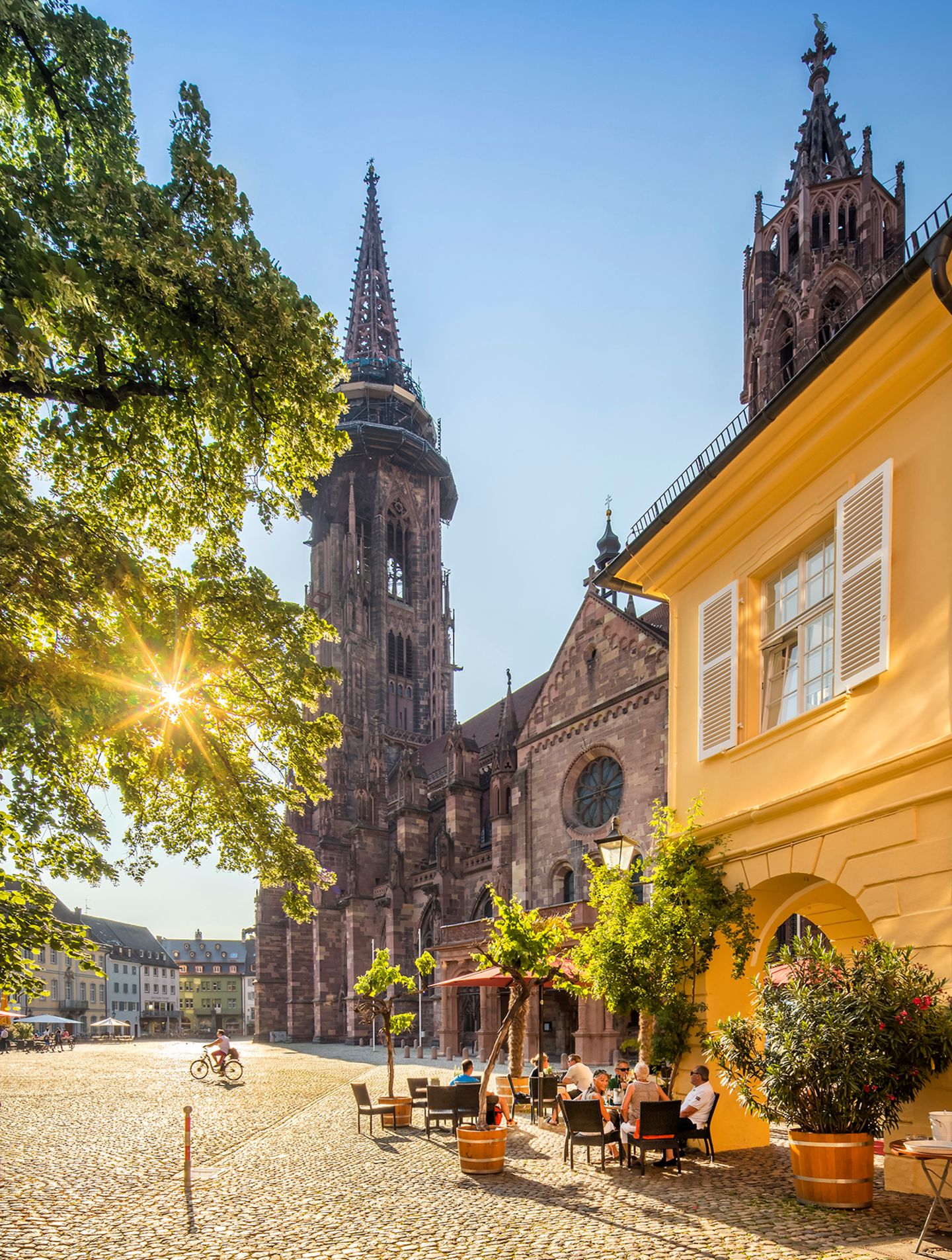 Münster, Freiburg