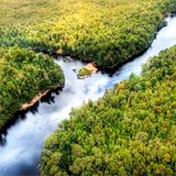 Franklin & Gordon River