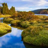 Walls of Jerusalem Nationalpark