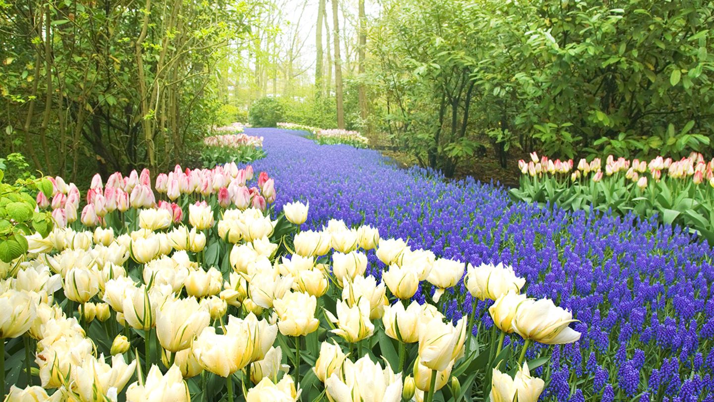 5 Reiseziele, die im Frühling besonders schön sind