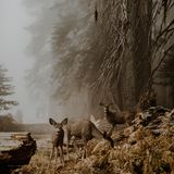 Justyna Zdunczyk, Poland, Winner, Open Wildlife and Winner, Poland National Award, 2018 Sony World Photography Awards